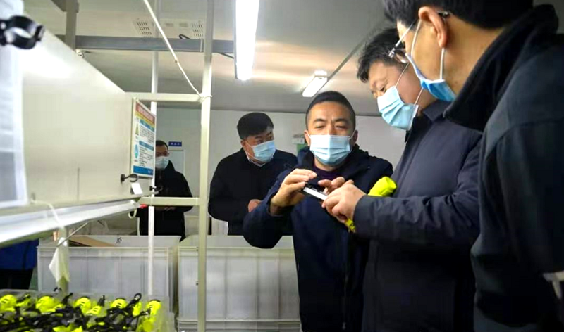 龙口市领导到九游会j9备用网址旗下东立公司考察指导工作